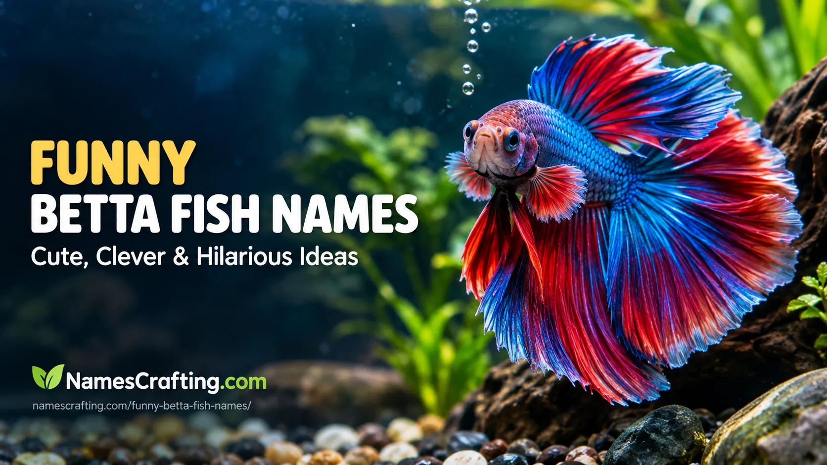 Funny Betta Fish Names