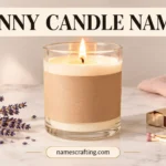 Funny Candle Names